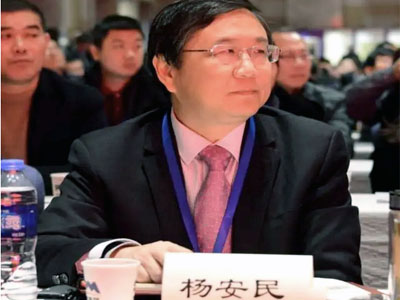 風生水起！楊安民董事長談上海山美股份有限公司經營之道 //高端訪談